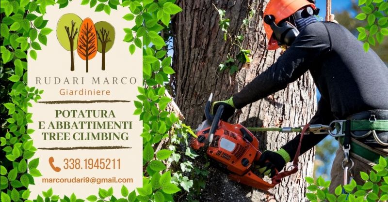 Offerta servizio abbattimento alberi tree climbing Verona - Occasione potatura alberi ad alto fusto provincia Verona
