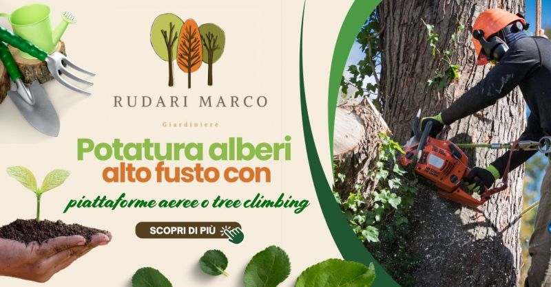 Giardiniere abilitato potatura alberi tree climbing