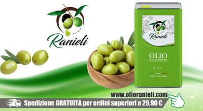  azienda agricola fratelli ranieli promozione olio oliva vergine italiano vibo valentia promozione vendita lattina olio oliva vergine
