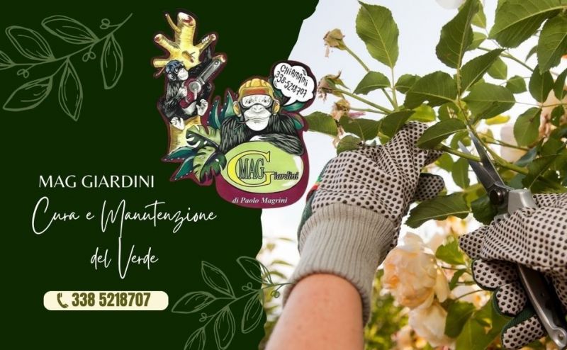 giardiniere per manutenzione giardini a numana