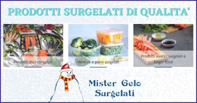 mister gelo promozione prodotti alimentari surgelati e piatti surgelati lucca e versilia