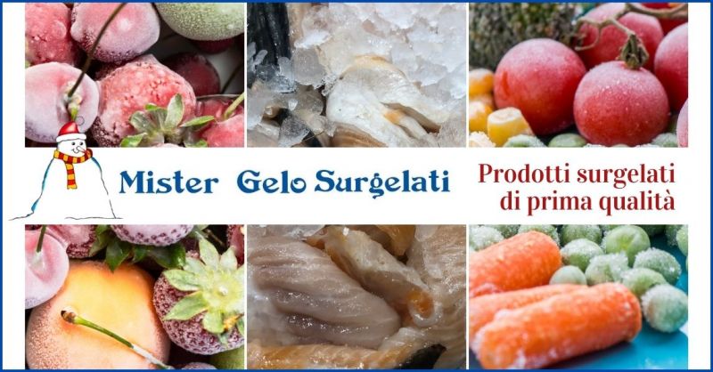 offerta alimenti congelati per ristorazione e cucina Versilia - MISTER GELO