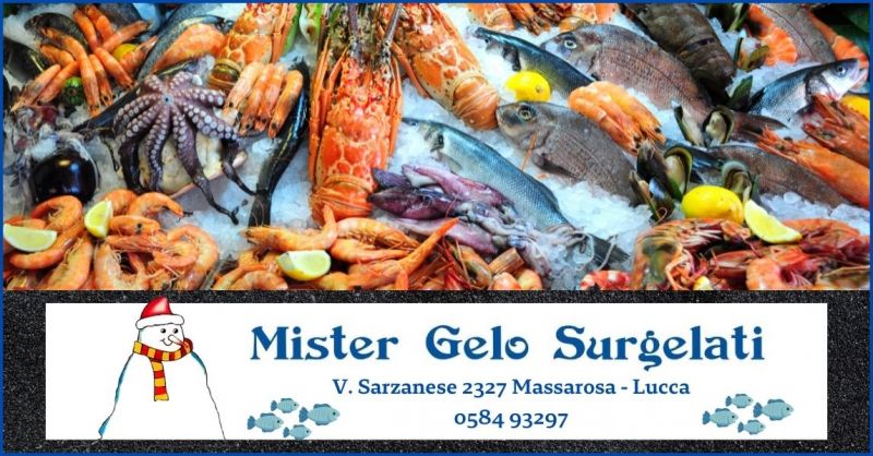 offerta crostacei e pesce surgelato Versilia - MISTER GELO