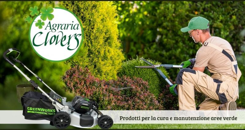 occasione prodotti per la cura e manutenzione giardino o area verde Lucca