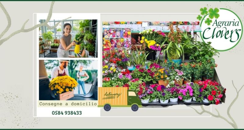 offerta consegna a domicilio prodotti per piante e fiori Lucca - AGRARIA CLOVERS