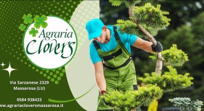 i migliori prodotti per il giardinaggio e a la manutenzione del verde