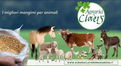 mangimi di qualita per animali domestici e da fattoria