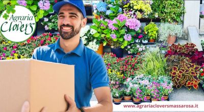 servizio consegna a domicilio articoli da giardinaggio