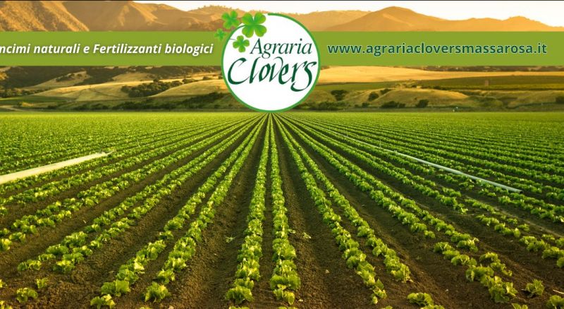 vendita concimi naturali e fertilizzanti biologici