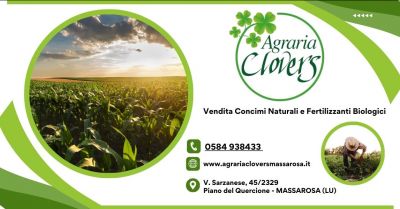 dove acquistare migliori concimi e fertilizzanti biologici in versilia