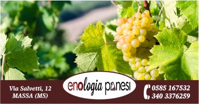 enologia panesi offerta analisi enologiche occasione vendita attrezzatura professionale potatura viti