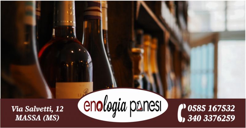 enologia panesi offerta visite in cantina vigneti - occasione vendita materiale imbottigliamento vino