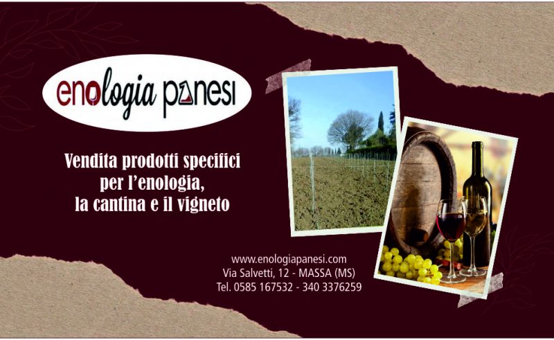 offerta vendita di prodotti per l'enologia e materiale per l'imbottigliamento vino massa