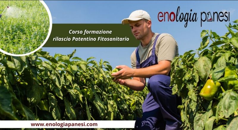 corso formazione rilascio patentino fitosanitario