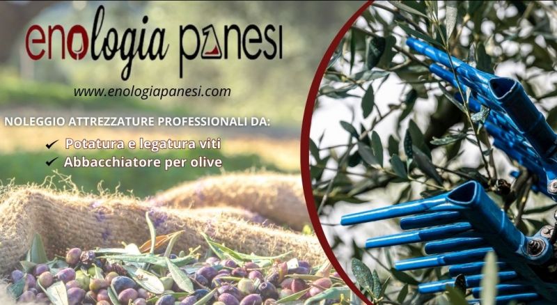 noleggio abbacchiatore raccolta olive