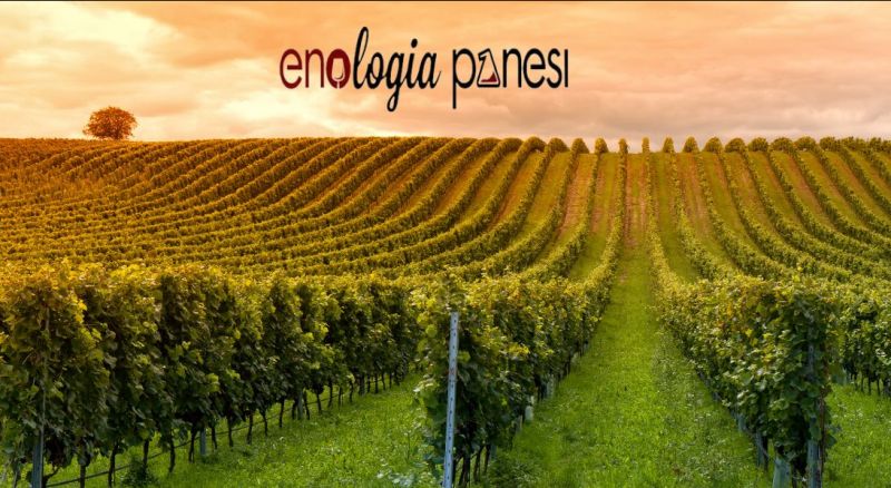 prodotti biologici viticoltura ed enologia