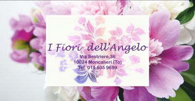 i fiori dellangelo offerta vendita piante torino occasione vendita fiori torino