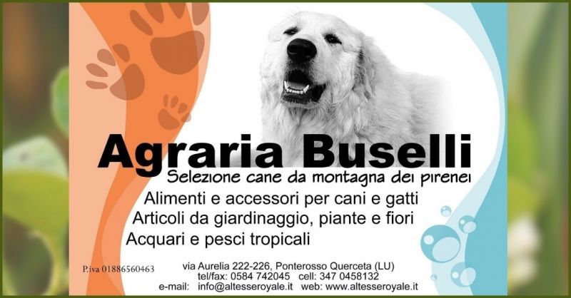 offerta alimenti e prodotti per animali Lucca - promozione articoli per il giardinaggio e cura delle piante
