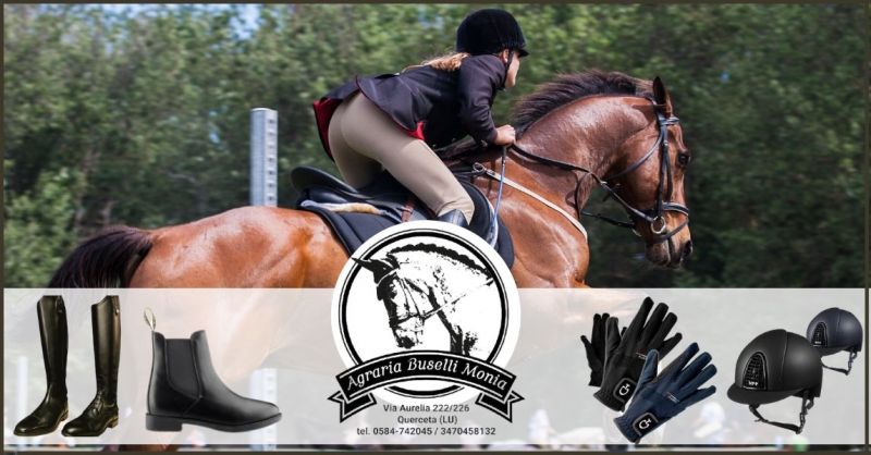 offerta stivali e scarpe equitazione Daslo Lucca - AGRARIA BUSELLI