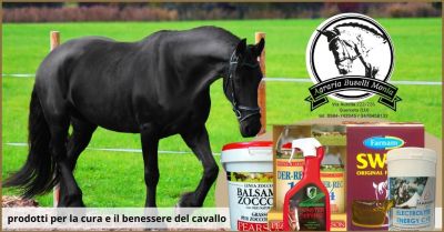 offerta prodotti pearson per la cura e il benessere del cavallo a lucca agraria buselli