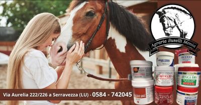 offerta i migliori prodotti per la cura e igiene del cavallo