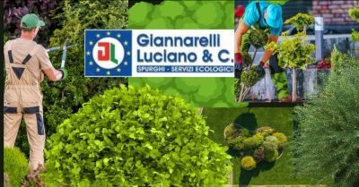 offerta manutenzione giardini pubblici e privati versilia