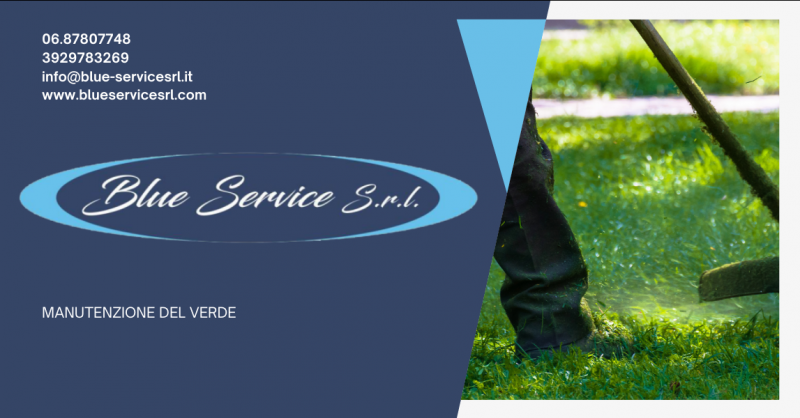 BLUE SERVICE SRL - Offerta impresa specializzata nella manutenzione di verde pubblico parchi e giardini in provincia di Roma