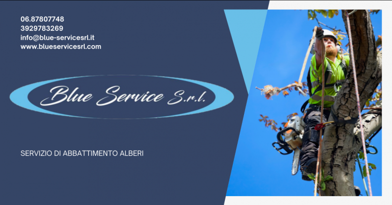 BLUE SERVICE SRL - Offerta azienda specializzata nel servizio di abbattimento degli alberi provincia di Roma