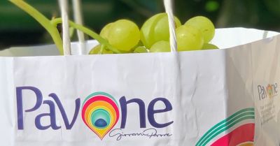  azienda agricola pavone offre de vente des meilleurs raisins de table des pouilles de haute qualit produits en italie