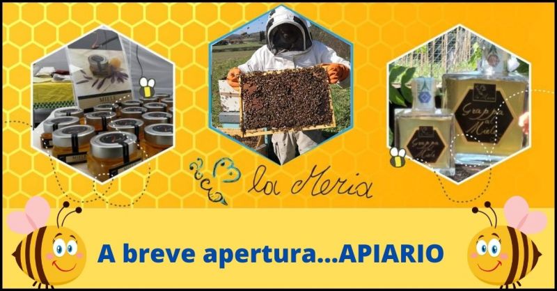 AZIENDA AGRICOLA LA MERIA - promozione vendita miele biologico Grosseto