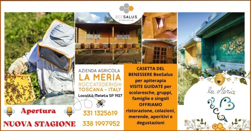  offerta miele e prodotti al miele Grosseto  - vendita miele Grosseto e Siena