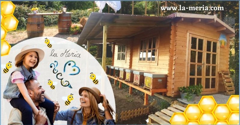 offerta gita didattica alla scoperta delle api e del miele Grosseto - AZIENDA AGRICOLA LA MERIA