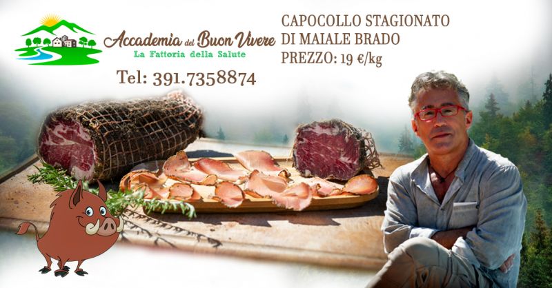 Offerta Vendita CAPOCOLLO STAGIONATO DI MAIALE BRADO da allevamenti all aperto territorio Umbro Terni