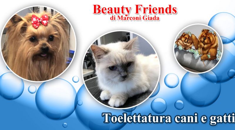 OFFERTA TOELETTATURA CANI ANCONA - OCCASIONE TOELETTATURA GATTI ANCONA