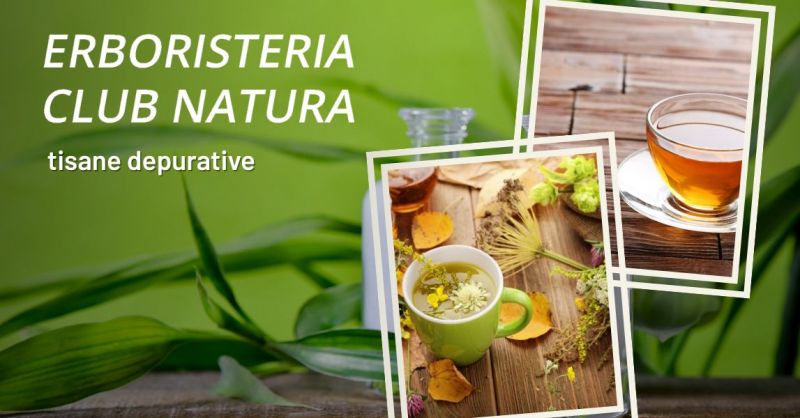 Tisane per depurare organismo vicino Alatri