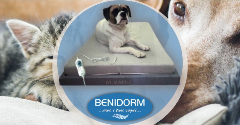 BENIDORM - Offerta vendita lettino riscaldato XL per cani e gatti