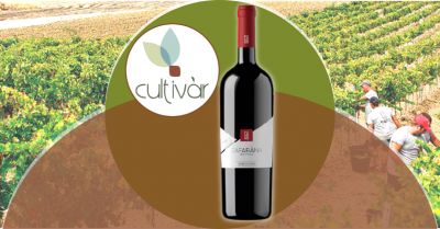 enoteca cultivar offerta vino biologico nero d avola terre siciliane