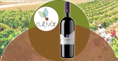 cultivar offerta vino syrah terre siciliane occasione vendita vino biologico syrah rosso