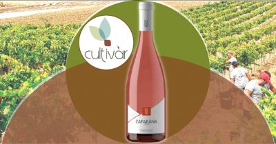 enoteca cultivar offerta vino perricone rosato zafarana di legami