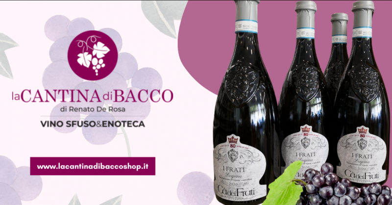 Offerta cartone da sei bottiglie vino Lugana Ca dei frati Bergamo