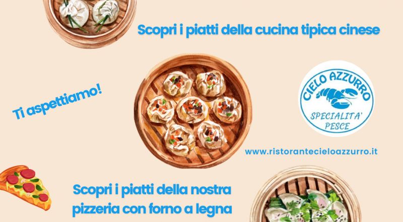  Offerta ristorante cinese di qualita a Novara – occasione pizzeria con forno a legna d’asporto a Novara