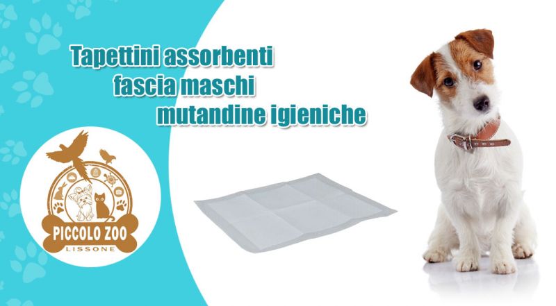 Offerta tappetini assorbenti per cani monza - promozione fascia maschi e mutandine igieniche  per cani lissone monza