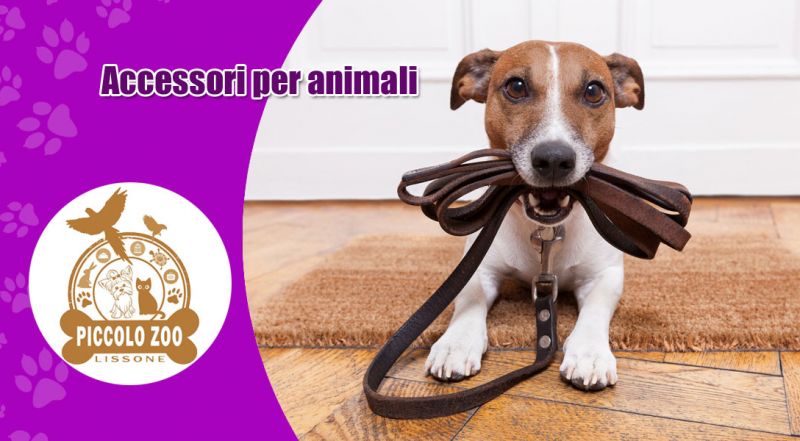 OFFERTA ACCESSORI PER CANE E GATTO MONZA - PROMOZIONE ACCESSORI PER ANIMALE DOMESTICO LISSONE MONZA