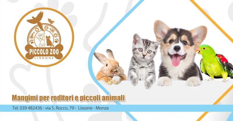  OFFERTA MANGIMI PER ANIMALI LISSONE MONZA – OCCASIONE MANGIMI PER RODITORI E PICCOLI ANIMALI LISSONE MONZA