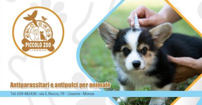  offerta prevenzione antiparassitari per animali lissone monza promozione antiparassitari e antipulci per cane e gatto lissone monza