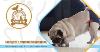  promozione tappetini igienici assorbenti per cani monza occasione mutandine per cani igieniche lissone monza