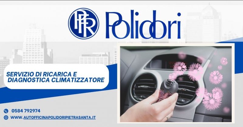  offerta Ricarica e Diagnostica Climatizzatore Servizio Professionale Versilia