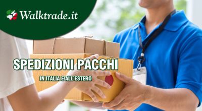 offerta spedizioni pacchi in italia ed estero bartolini rende cosenza promozione spedizioni pacchi in italia rende cosenza