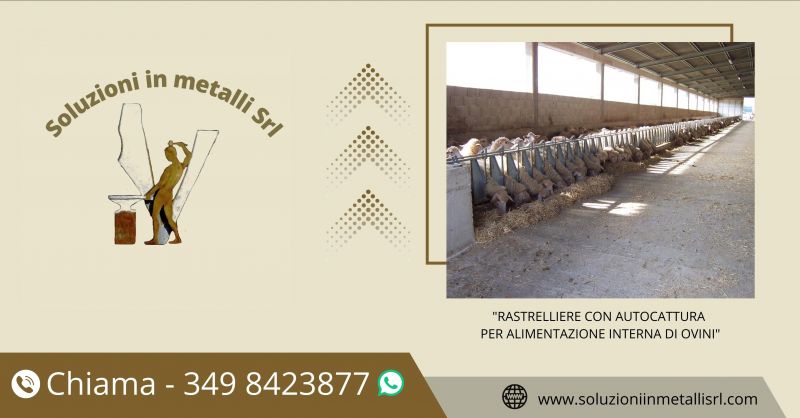   SOLUZIONI IN METALLI - offerta rastrelliere con autocattura per corsia di alimentazione interna ovini