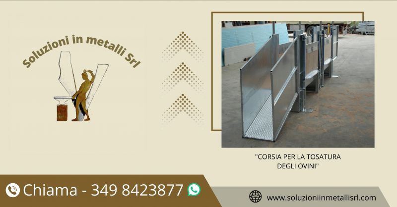   SOLUZIONI IN METALLI - offerta corsia per tosatura ovini